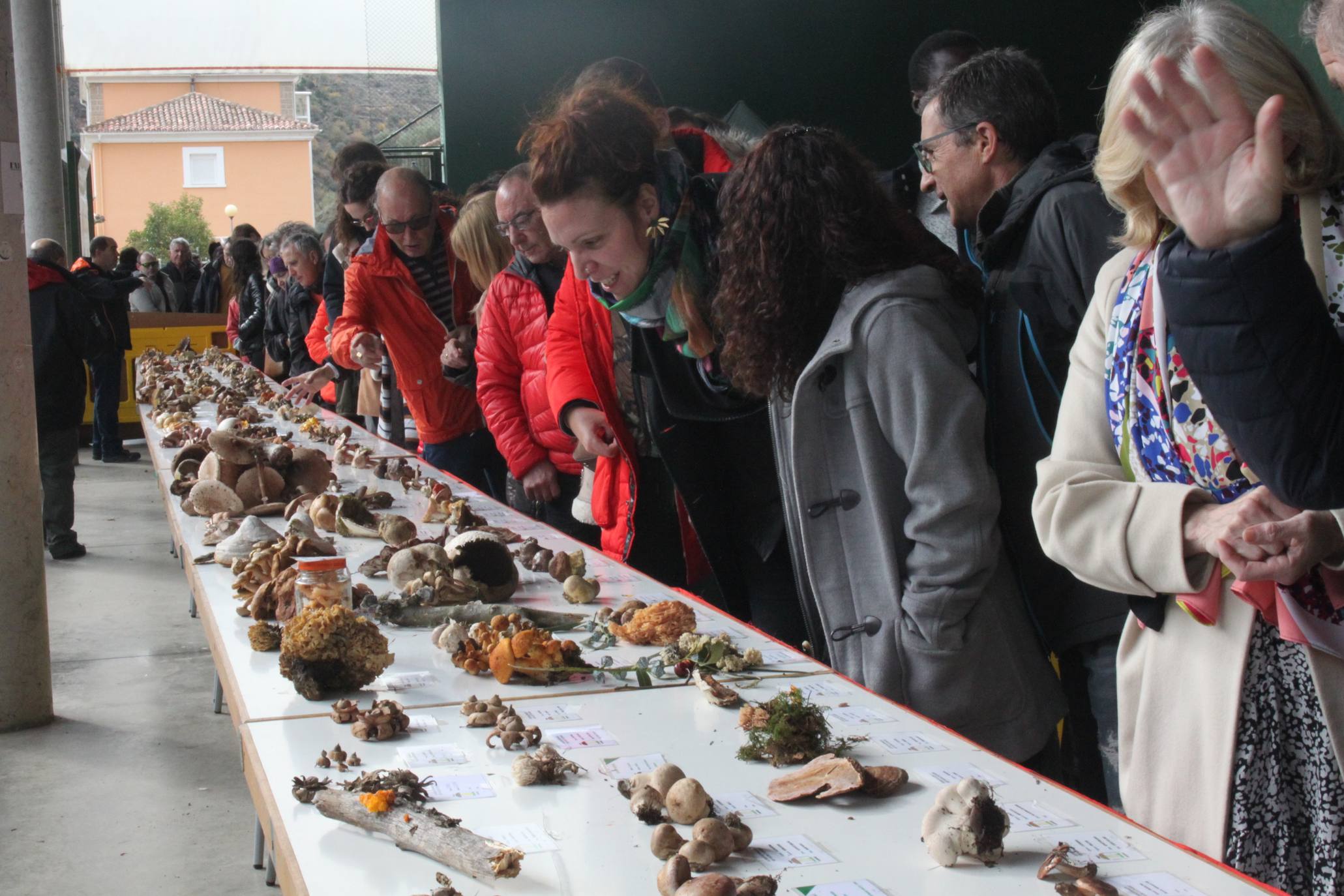 Cientos de personas se han acercado a la localidad riojabajeña. 