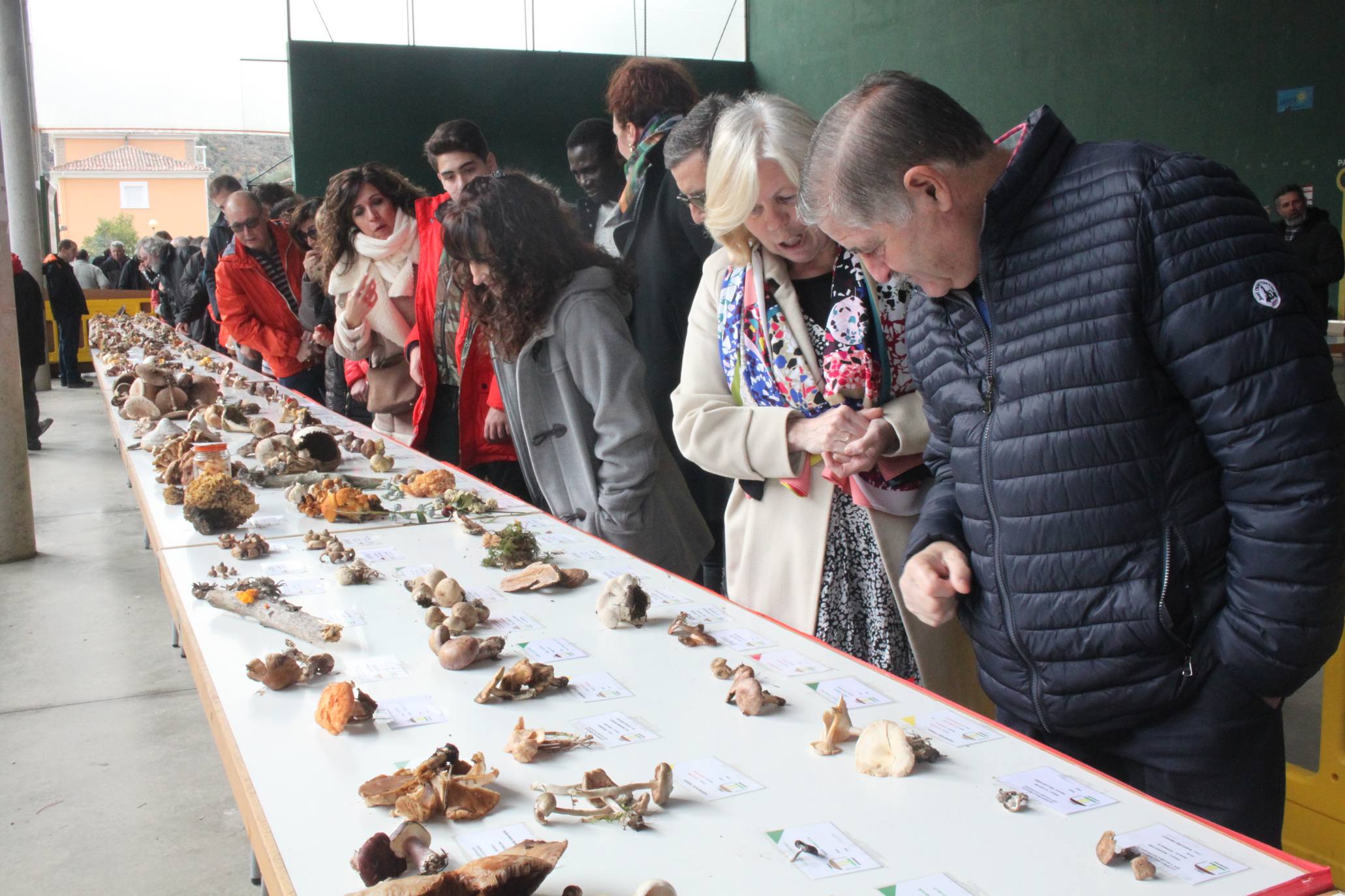 Cientos de personas se han acercado a la localidad riojabajeña. 