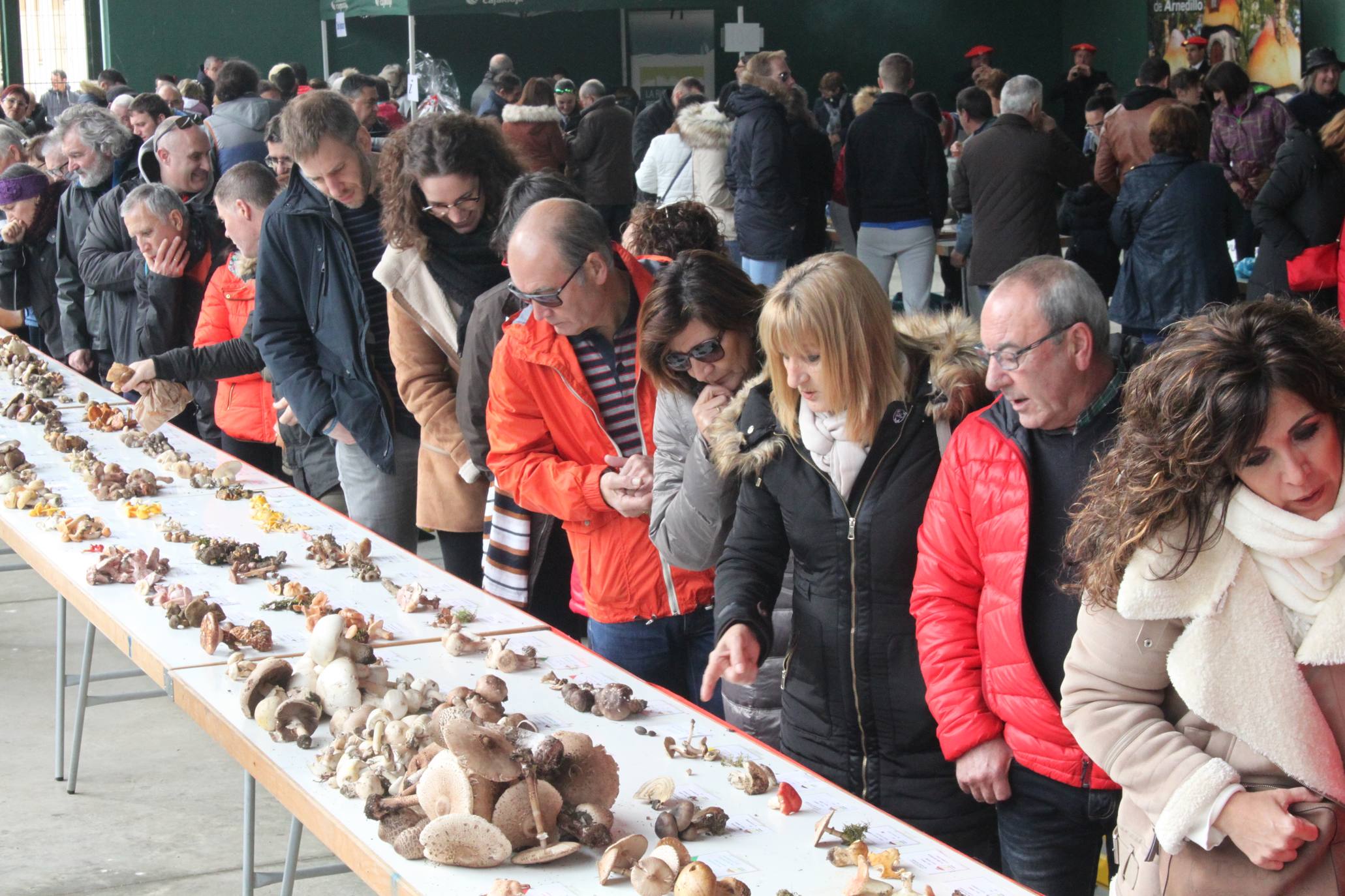 Cientos de personas se han acercado a la localidad riojabajeña. 