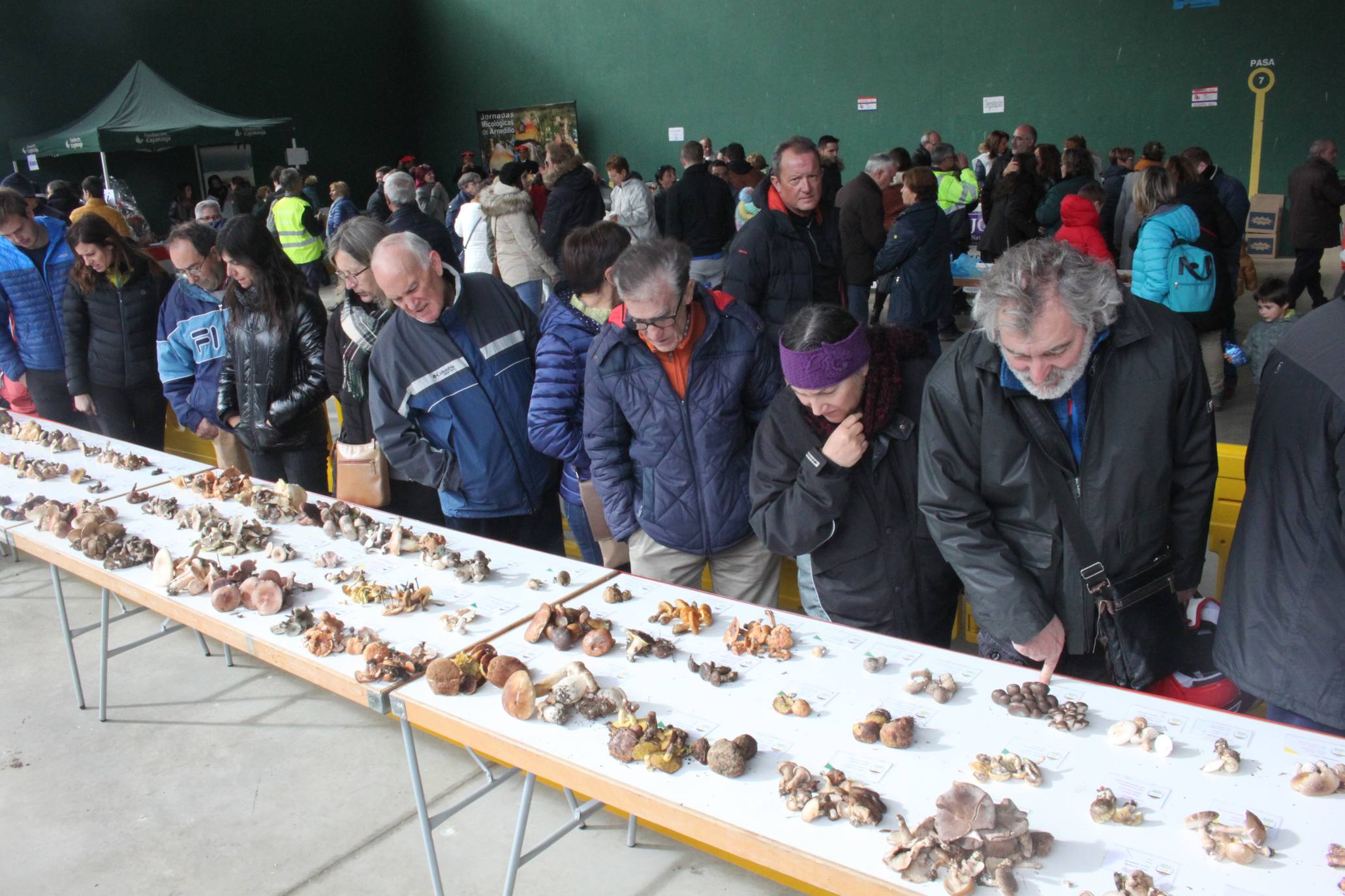 Cientos de personas se han acercado a la localidad riojabajeña. 
