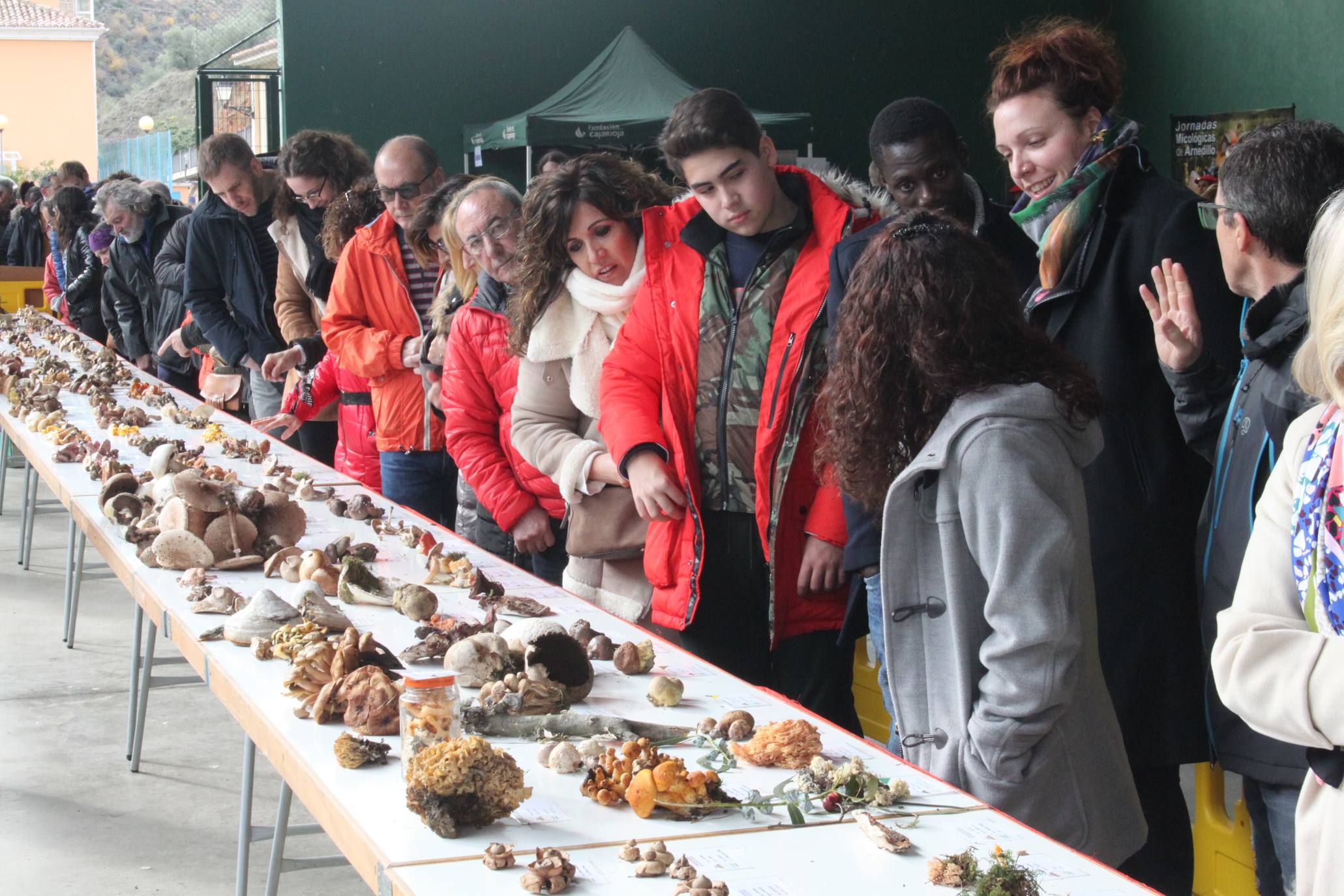 Cientos de personas se han acercado a la localidad riojabajeña. 