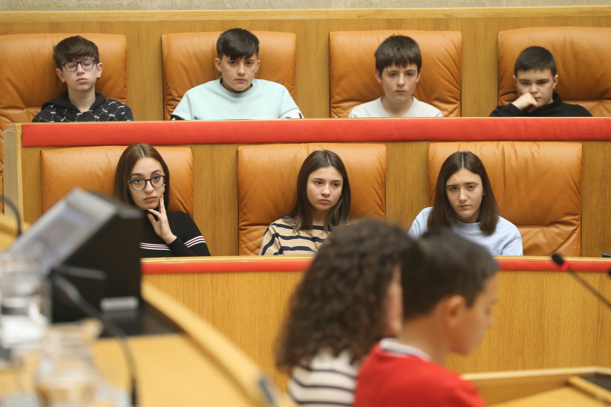 El Parlamento acogió la lectura del Manifiesto con motivo del 30º Aniversario de la Convención sobre los Derechos del Niño por parte del Comité de Unicef en La Rioja.