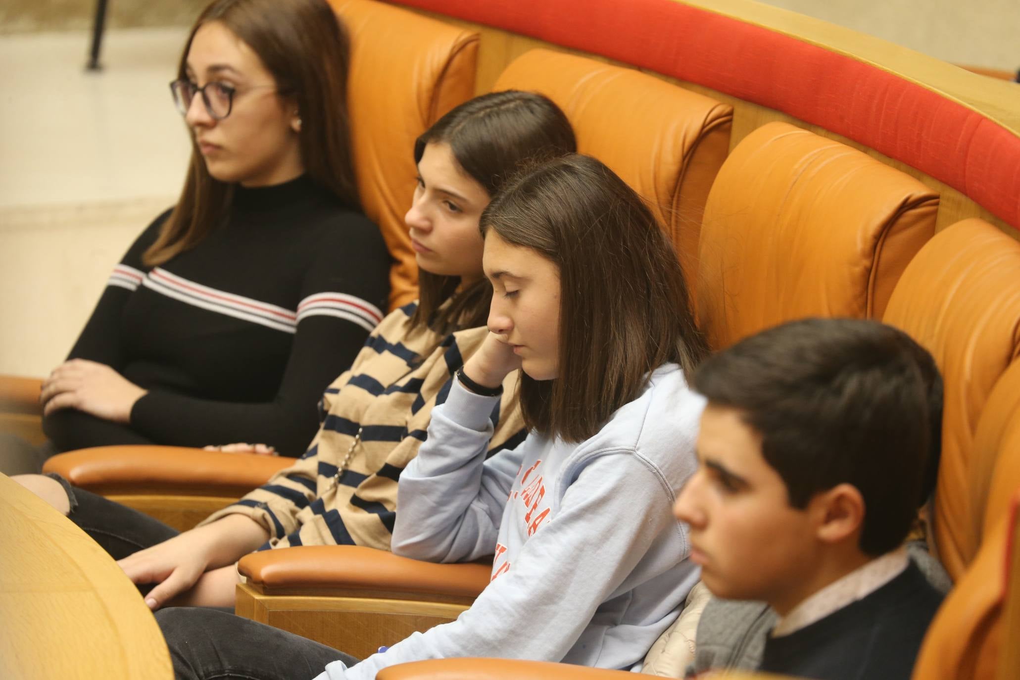 El Parlamento acogió la lectura del Manifiesto con motivo del 30º Aniversario de la Convención sobre los Derechos del Niño por parte del Comité de Unicef en La Rioja.