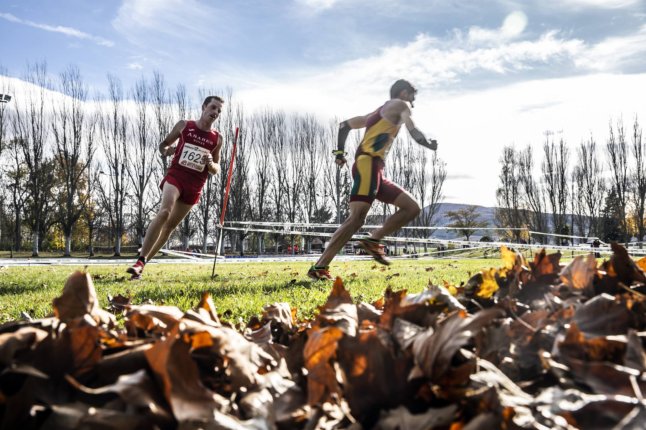 La galería de imágenes de la jornada de Cross en el municipio lo resume todo: mucho ambiente, risas y ejercicio físico en un día muy especial para todos los pequeños guerreros