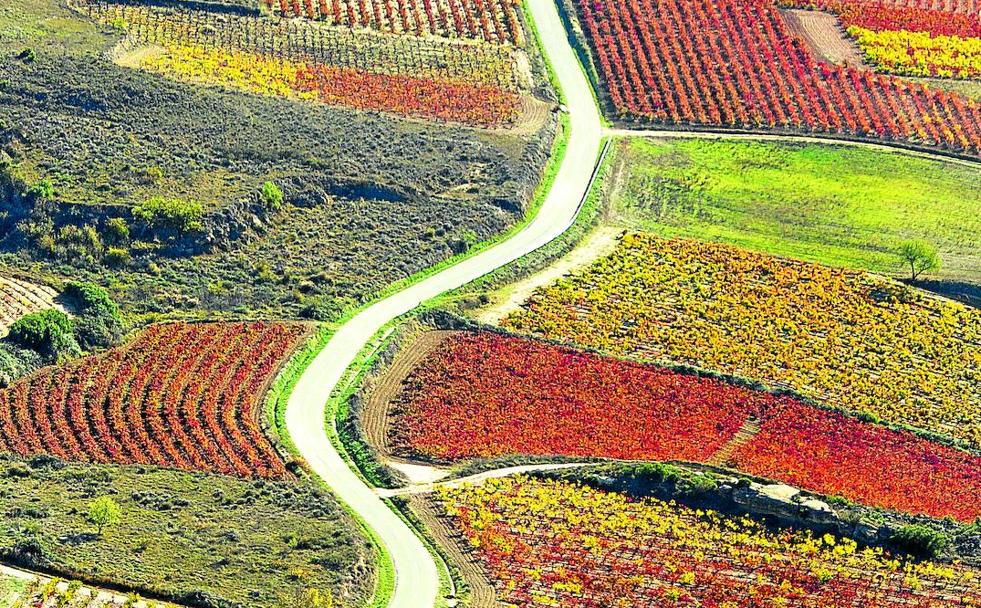 Una Rioja más diversa: el gran suplemento del vino, gratis este domingo