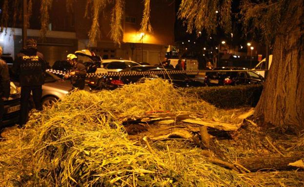 Una gran rama caída de un árbol ha dañado varios coches en la calle Velázquez, y la policía ha acordonado la zona