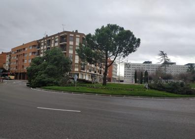 Imagen secundaria 1 - Árboles caídos, rachas de 180 kilómetros por hora: el viento llega con fuerza a La Rioja