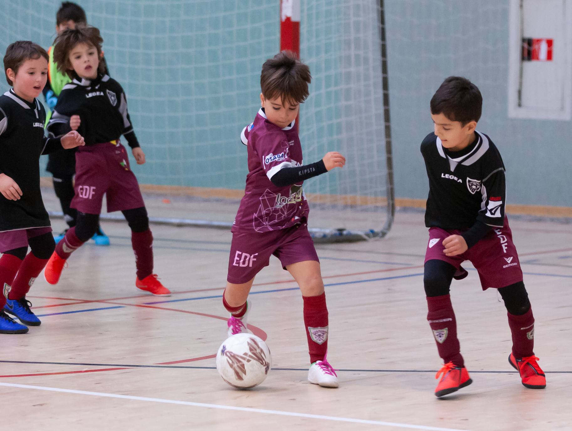 XI Torneo de Reyes 'El Ángel' del EDF Logroño