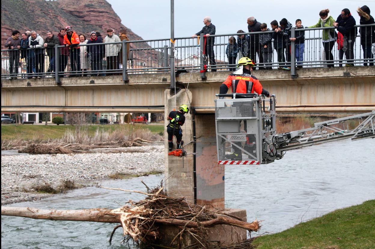 Retirada de un árbol cruzado en la pasarela de Nájera