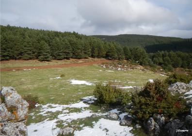 Imagen secundaria 1 - Excursión a Cerrauco con nieve