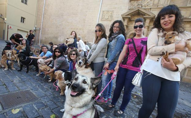 El Constitucional rechaza el recurso del anterior Gobierno de La Rioja contra la ley de protección animal