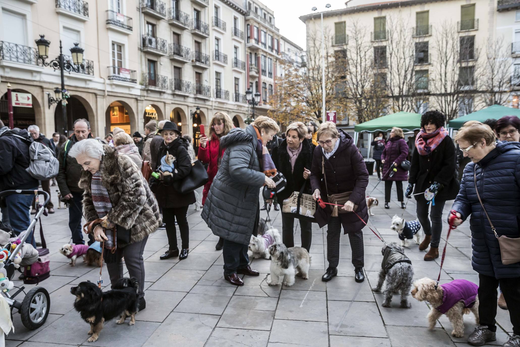 Bendición de los animales en Logroño en el día de San Antón