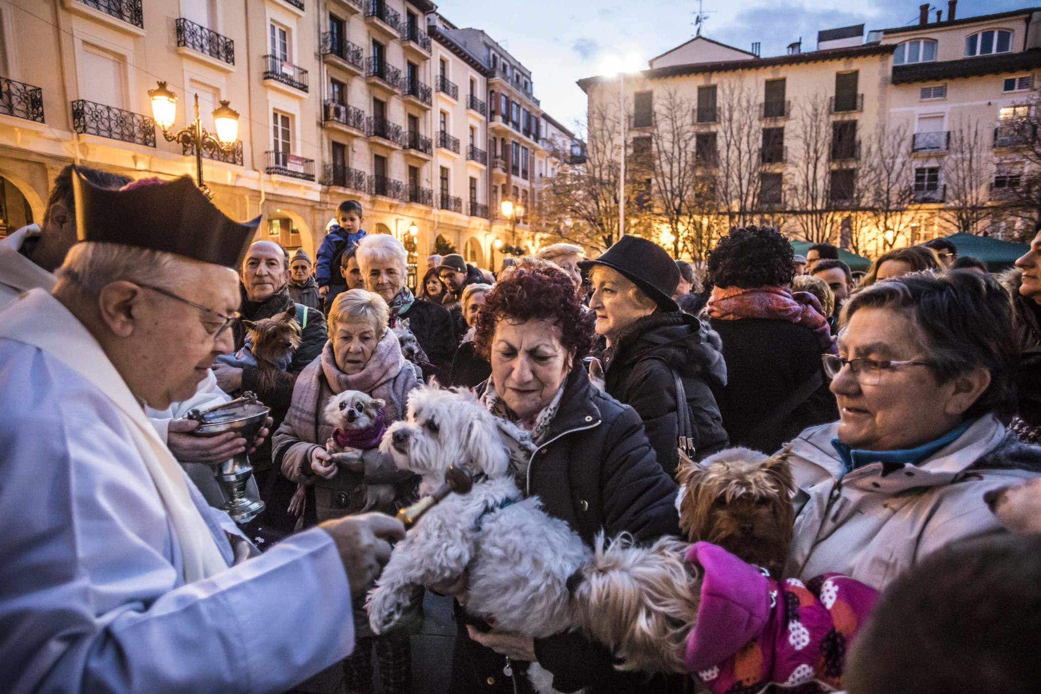 Bendición de los animales en Logroño en el día de San Antón