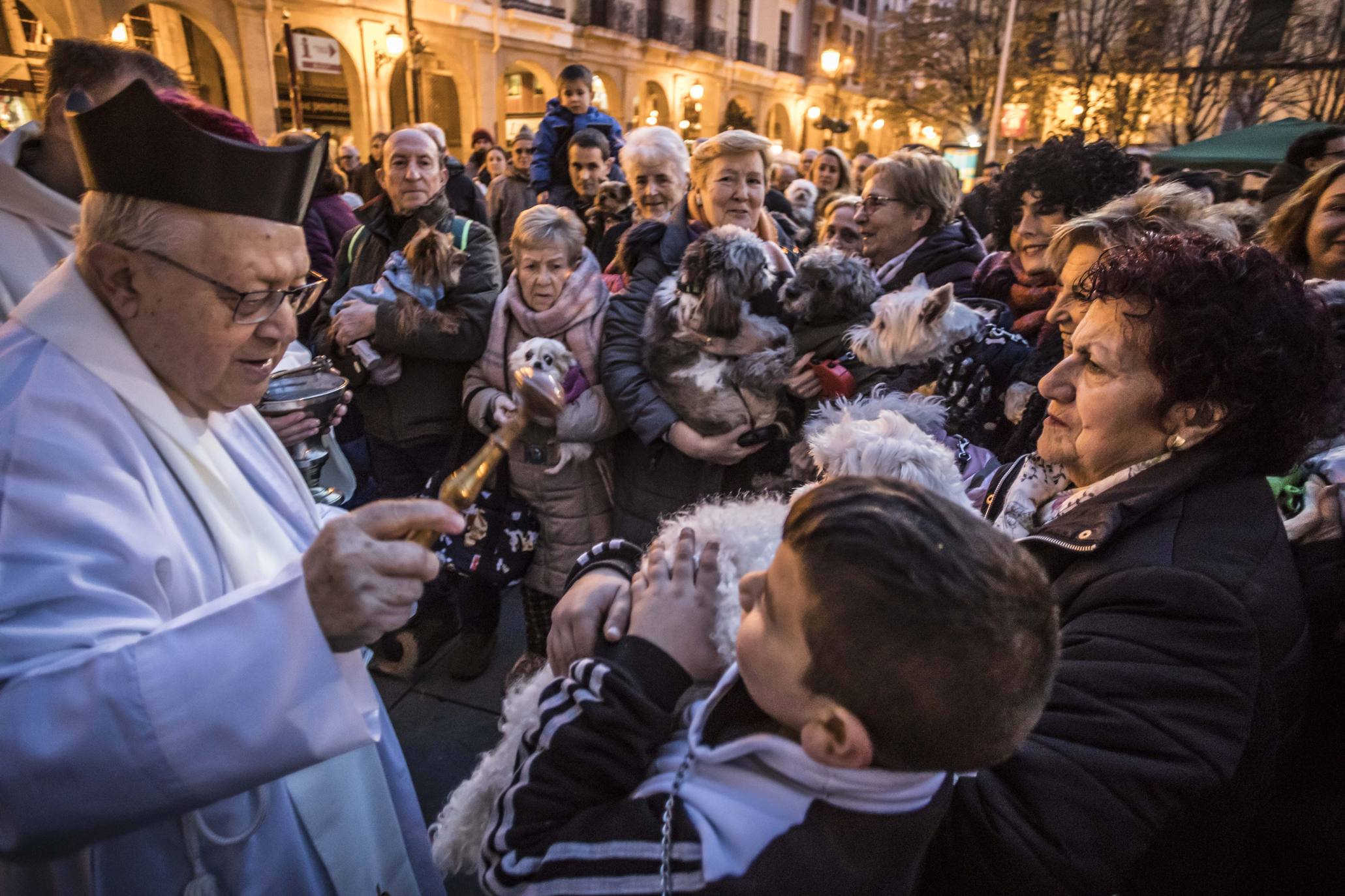 Bendición de los animales en Logroño en el día de San Antón