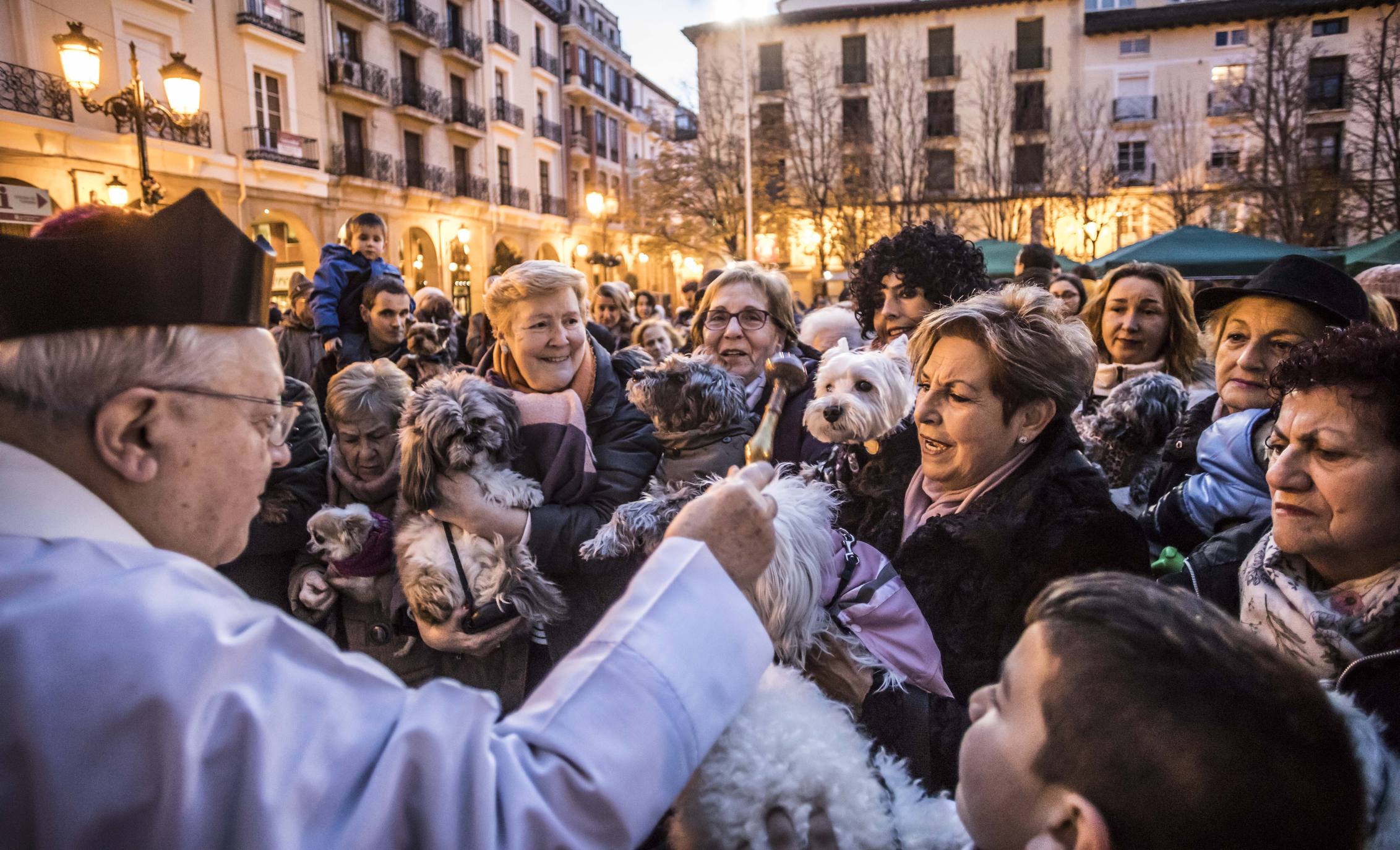 Bendición de los animales en Logroño en el día de San Antón