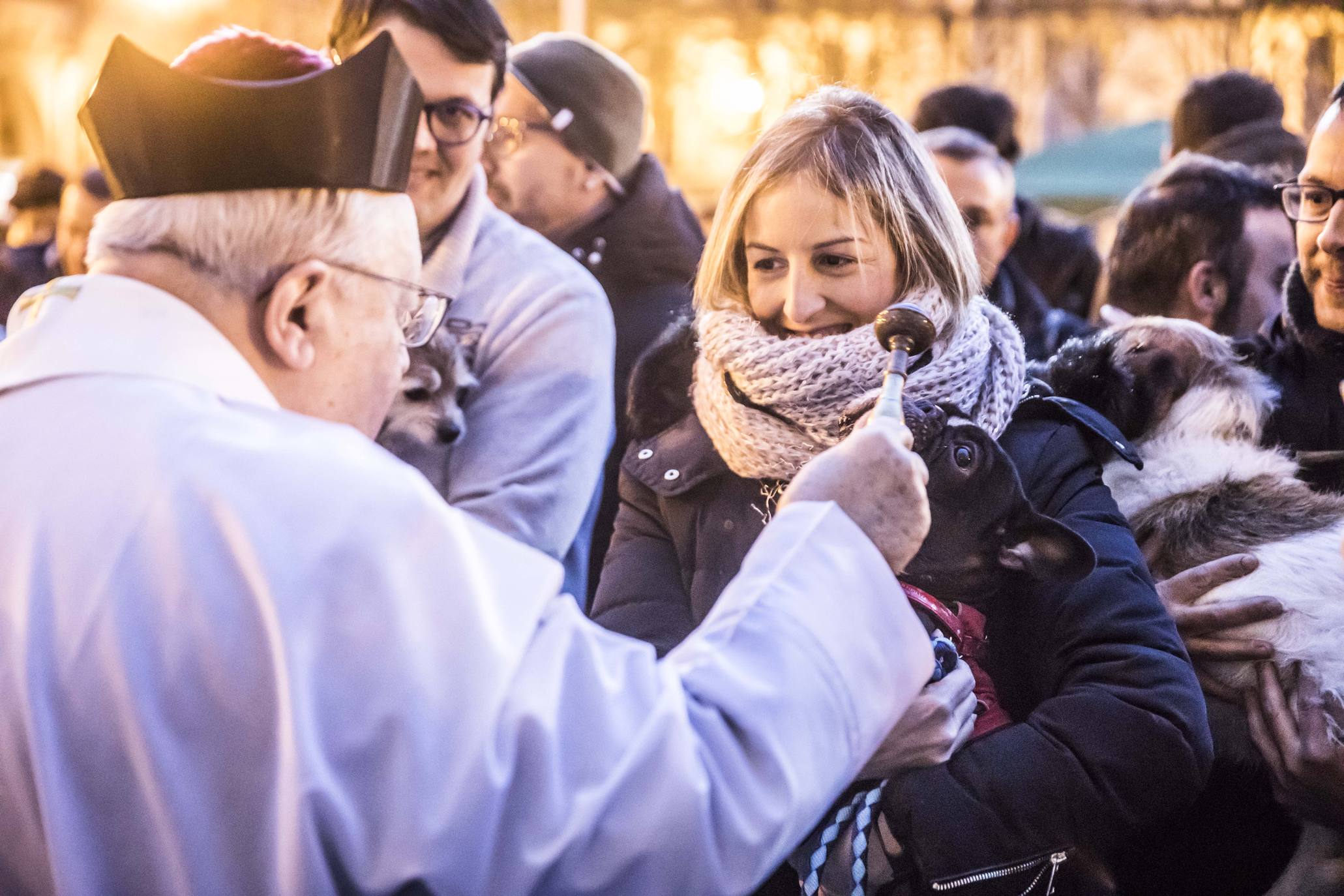 Bendición de los animales en Logroño en el día de San Antón