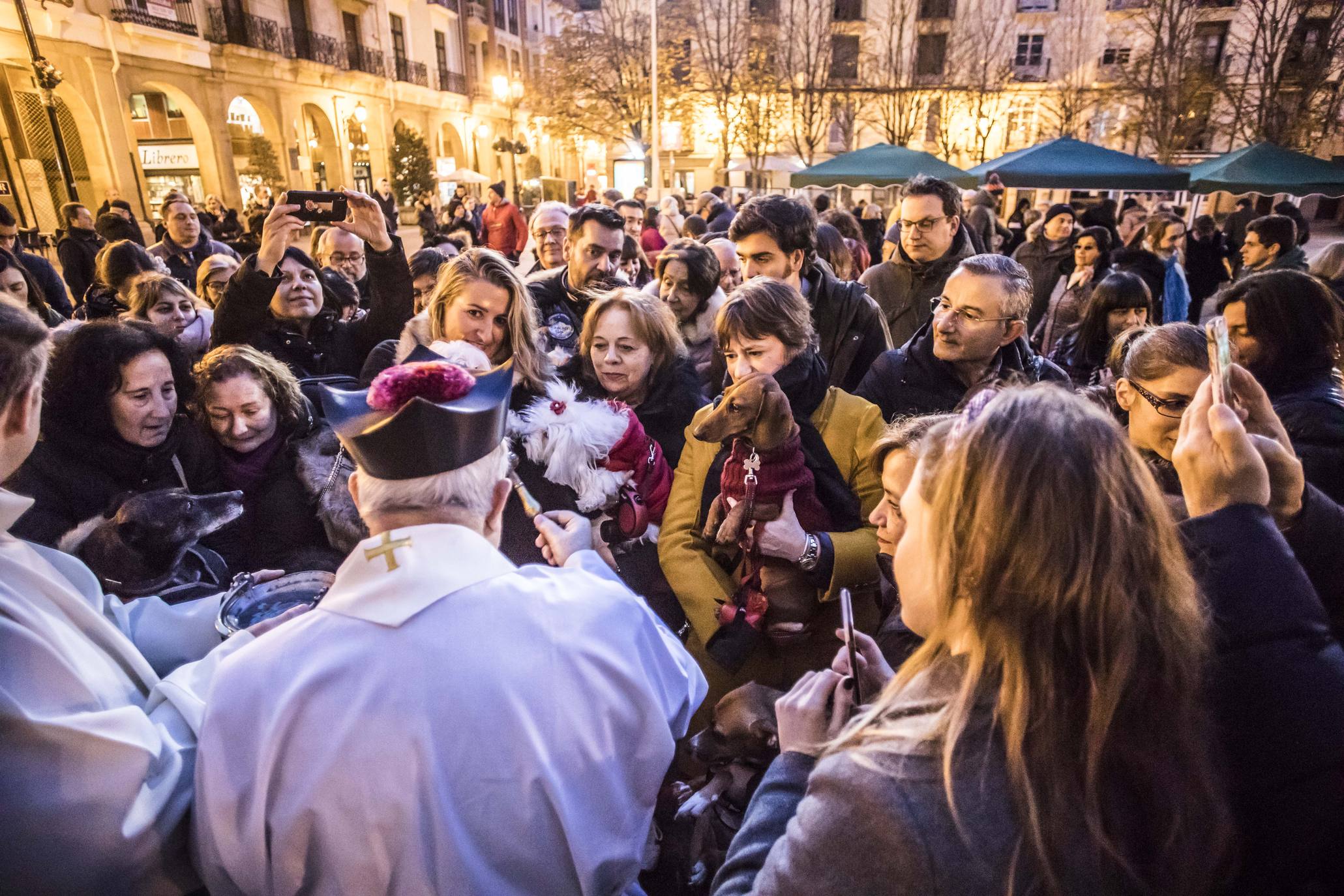 Bendición de los animales en Logroño en el día de San Antón