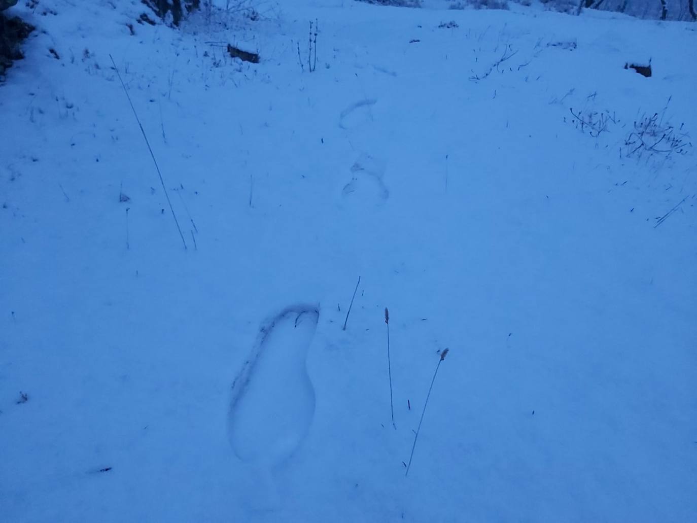 Tal y como anunció ayer la Aemet, los riojanos somos testigos hoy de la alerta amarilla por nieve