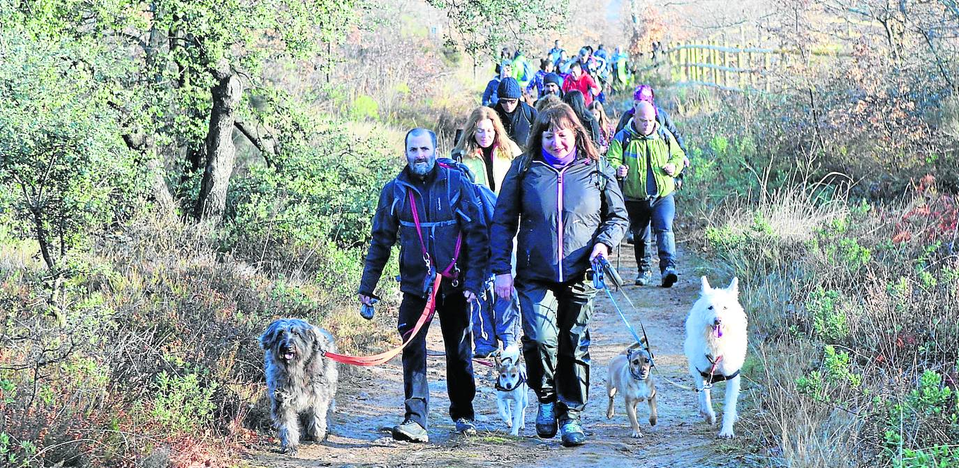 La Subida a las Neveras de Moncalvillo reunió este domingo a cientos de participantes, muchos de ellos acompañados de sus perros.