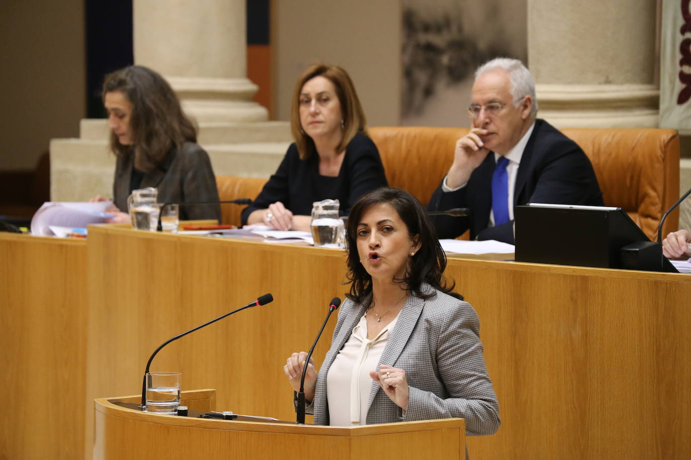 Fotos: Pleno del Parlamento de La Rioja (06/02/20)