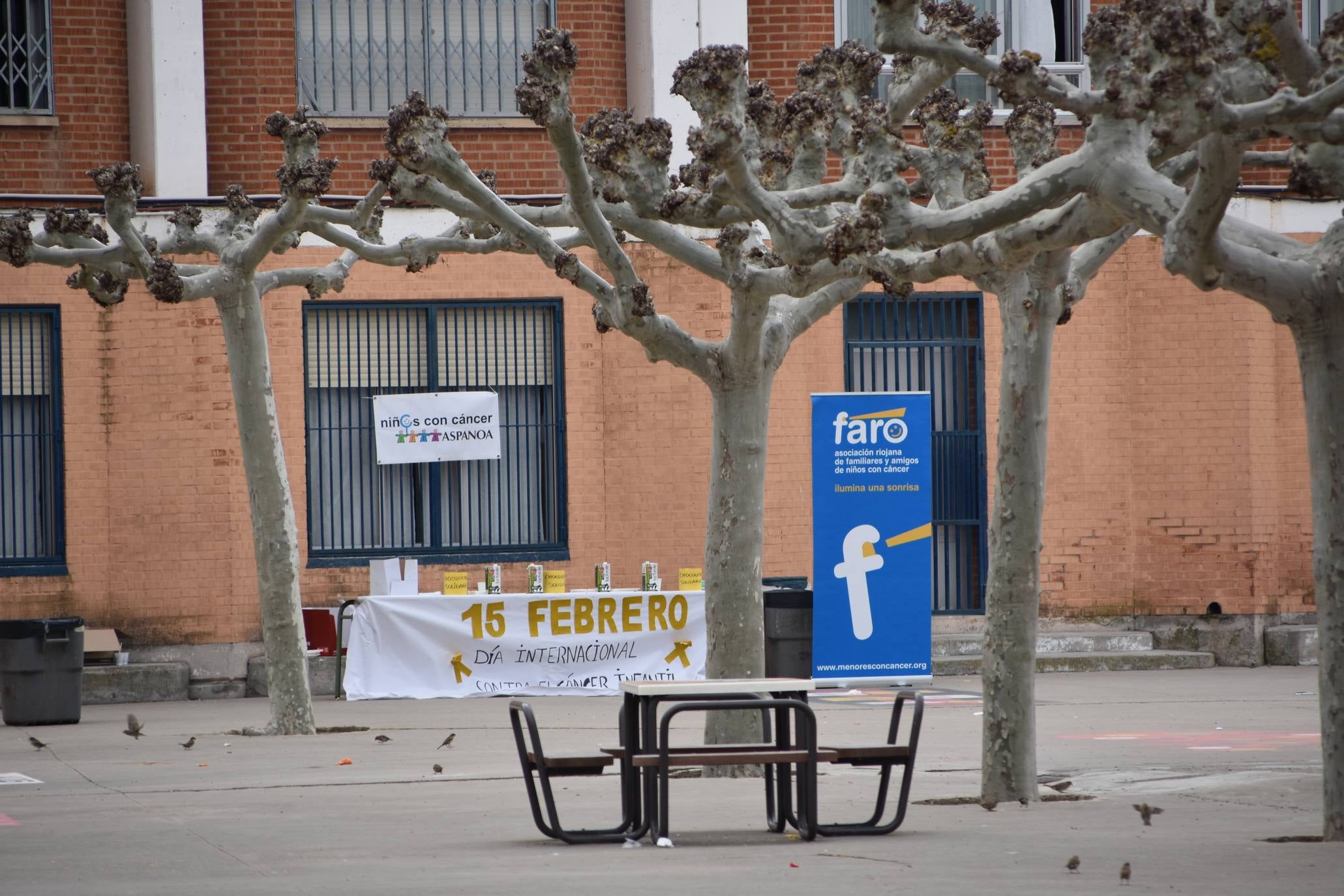 Fotos: II chocolatada solidaria del colegio de Rincón de Soto