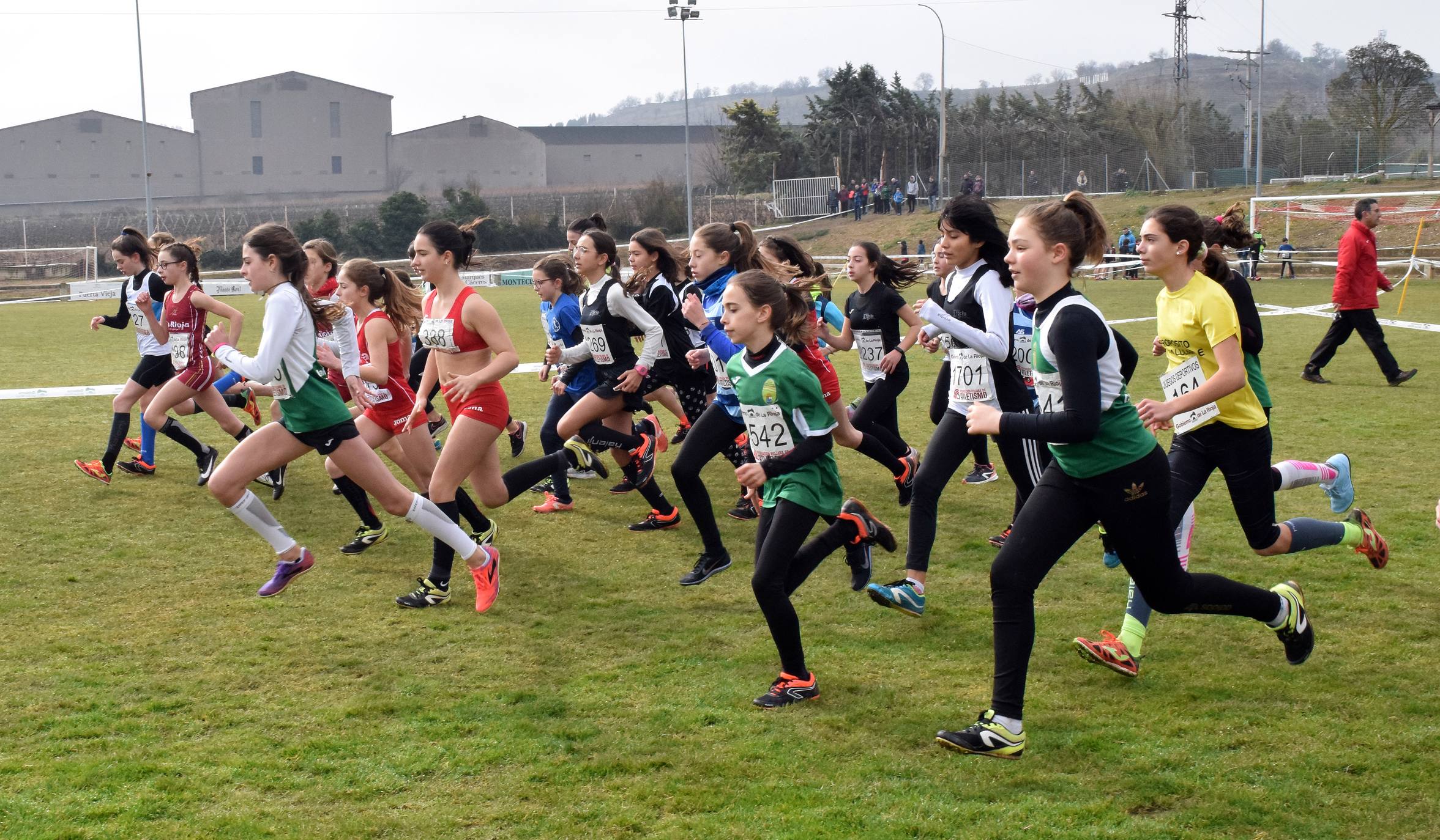 Fotos: El Campeonato Autonómico de campo a través, en imágenes