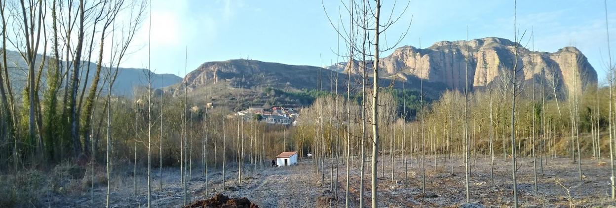 Zona de la captación de agua de boca de Bobadilla. G. L. R.