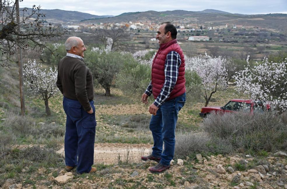 Andrés Medrano y Javier Alfaro, en una finca de olivos y almendros frente a Cabretón.