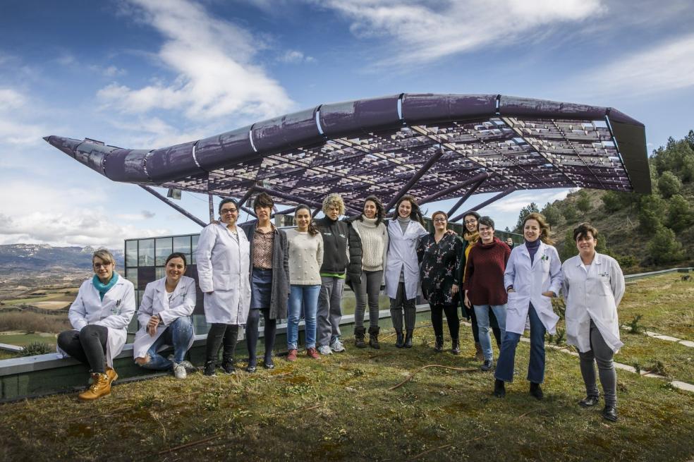 Mujeres que forman la plantilla de las empresas Dolmar, en Haro. 