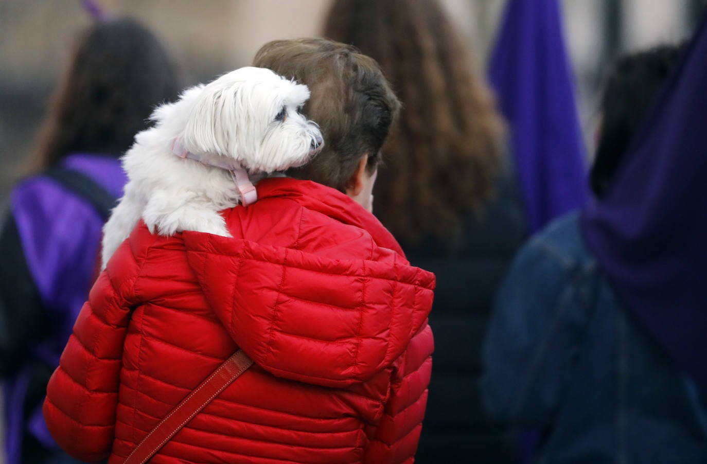 Fotos: 8M: Manifestación del Día Internacional de la Mujer en Logroño