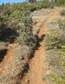 Imagen secundaria 2 - Vista sobre el valle del Ebro y Ribafrecha, dolina de la Covacha y sendero que baja a Zenzano 