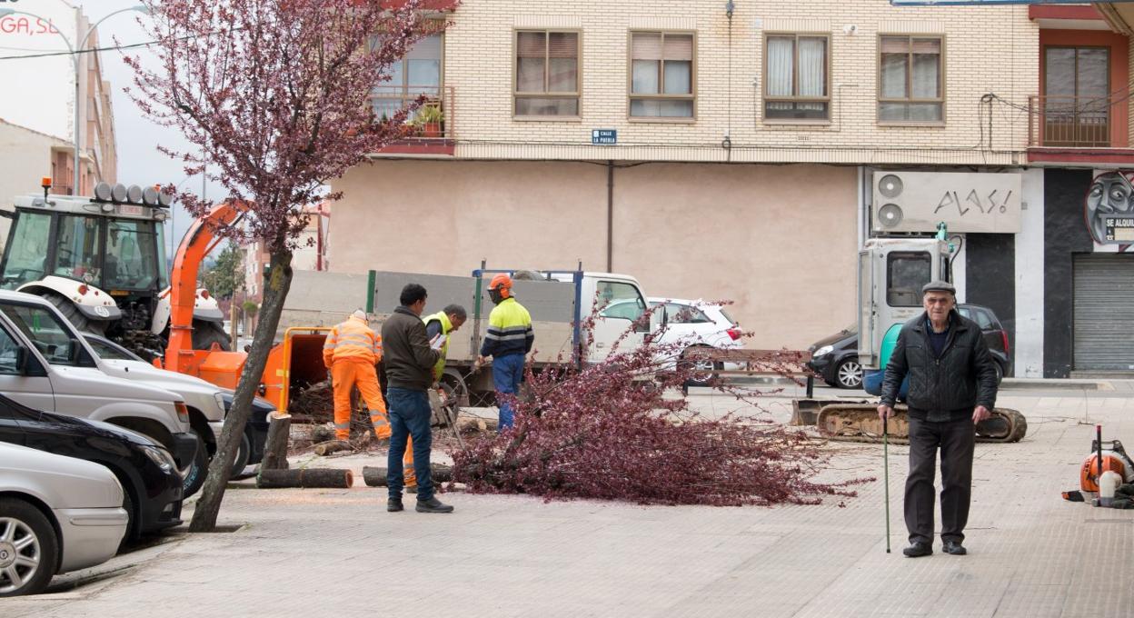 Labores de retirada del arbolado de la calle Hermosilla, ayer. 