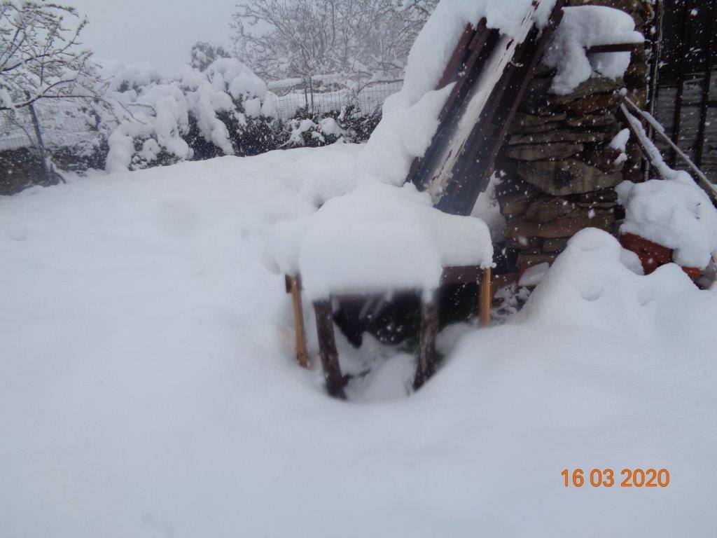 Fotos: La magia blanca de la nieve en El Collado