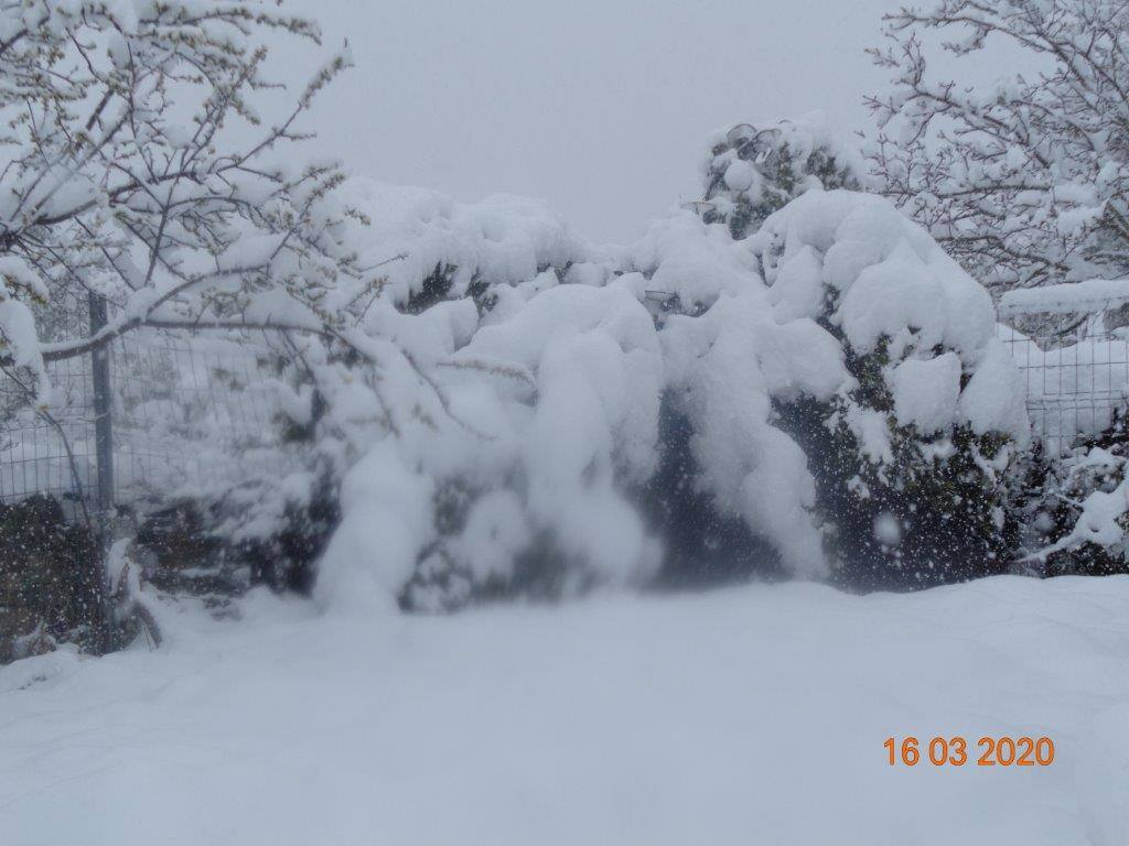 Fotos: La magia blanca de la nieve en El Collado