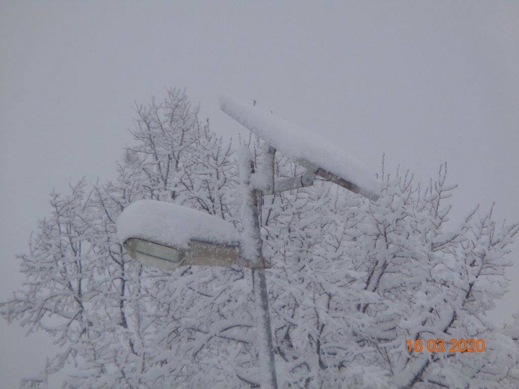 Fotos: La magia blanca de la nieve en El Collado