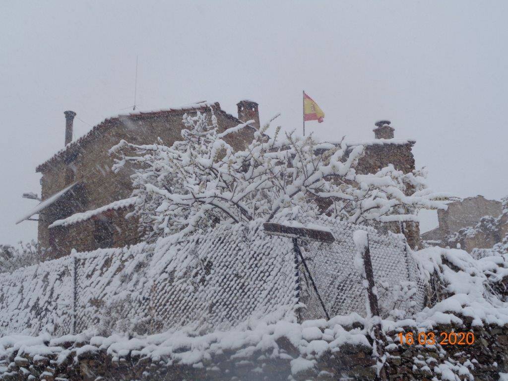 Fotos: La magia blanca de la nieve en El Collado