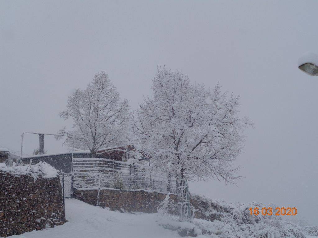 Fotos: La magia blanca de la nieve en El Collado