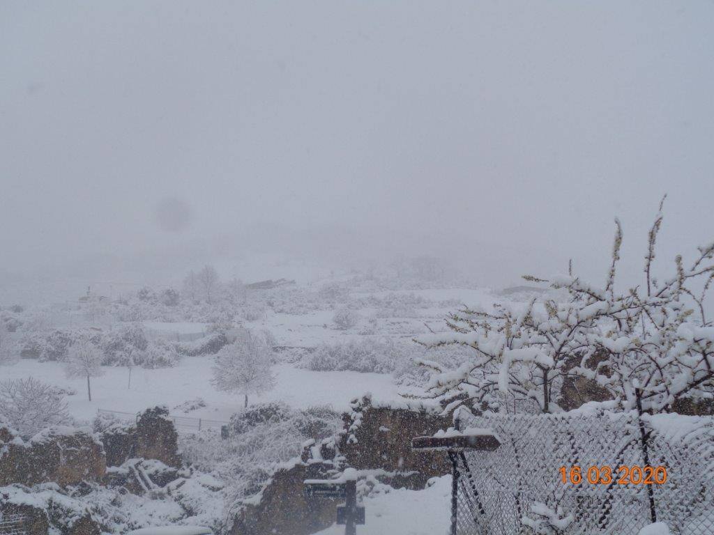 Fotos: La magia blanca de la nieve en El Collado