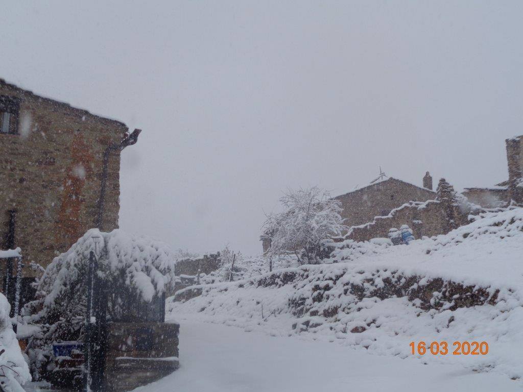 Fotos: La magia blanca de la nieve en El Collado