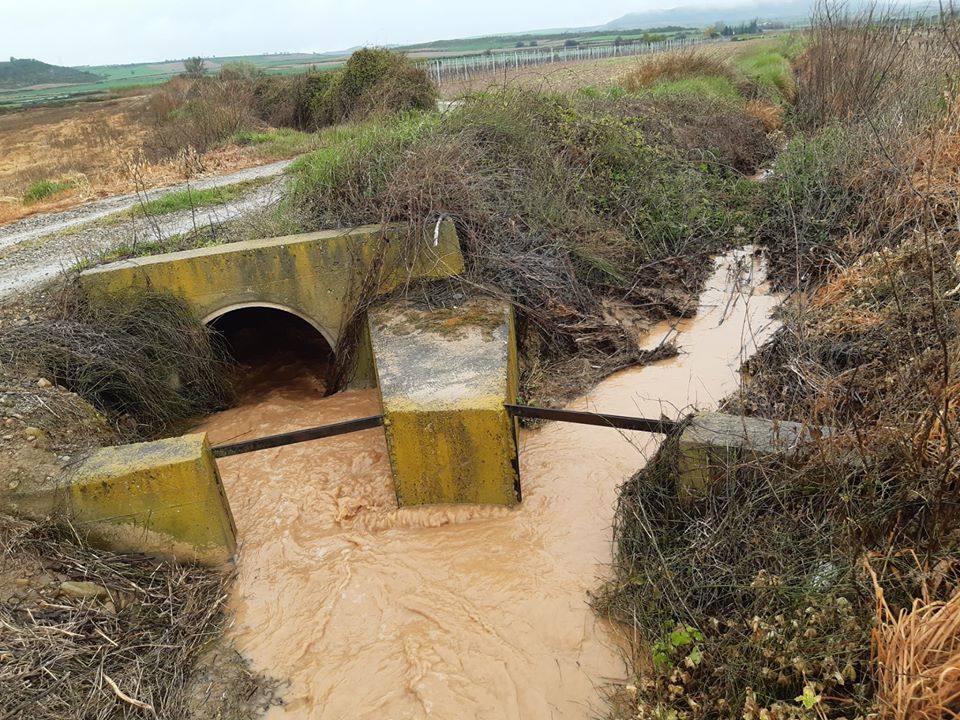 Fotos: La lluvia provoca inundaciones en el regadío de Corera