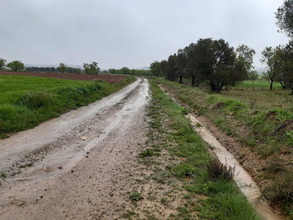 Fotos: La lluvia provoca inundaciones en el regadío de Corera