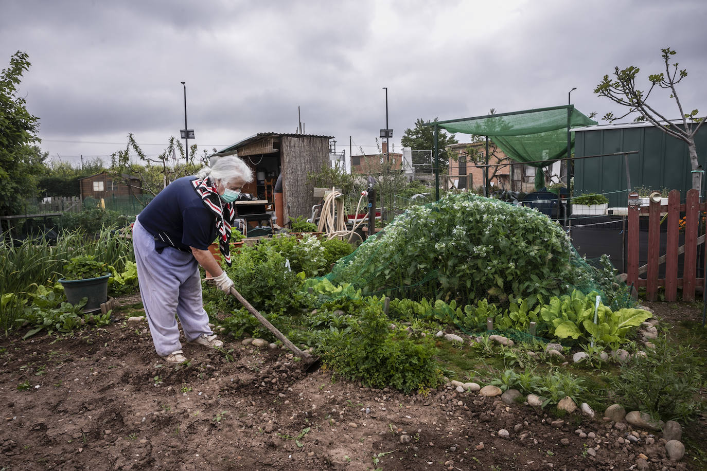 En Logroño, así se vivía este viernes la vuelta al cuidado de la tierra