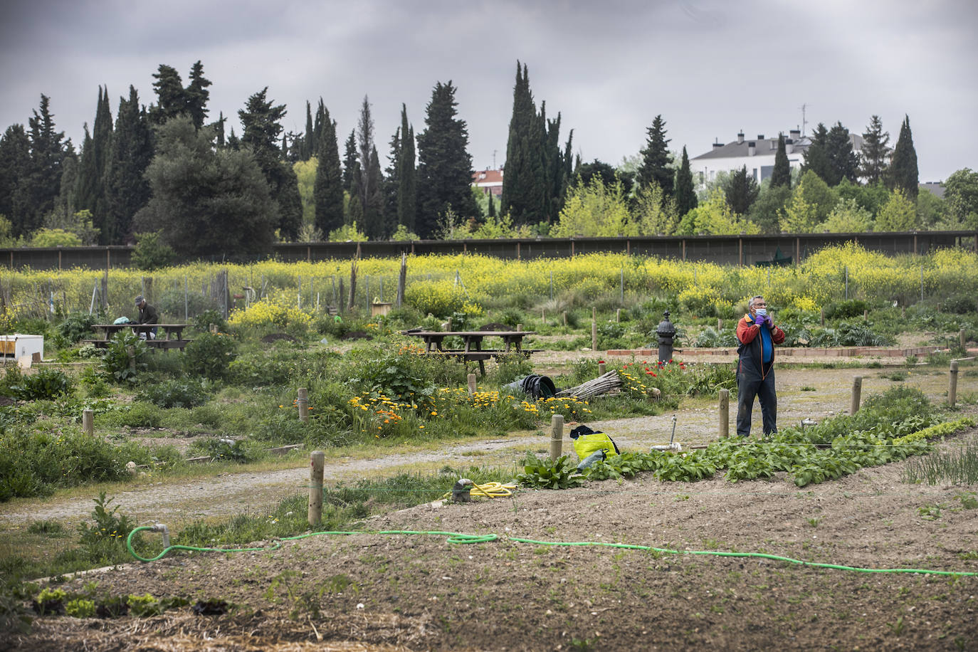 En Logroño, así se vivía este viernes la vuelta al cuidado de la tierra