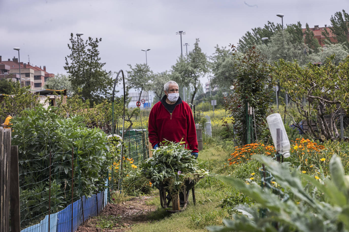 En Logroño, así se vivía este viernes la vuelta al cuidado de la tierra