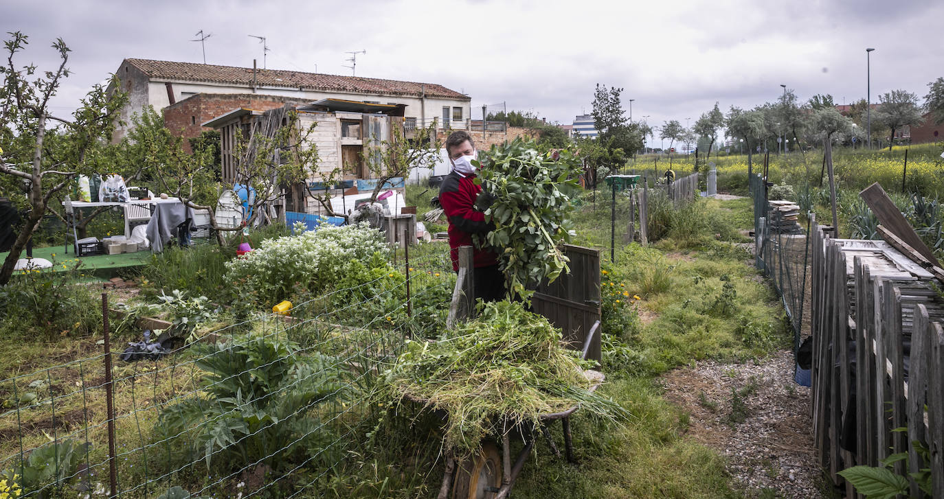 En Logroño, así se vivía este viernes la vuelta al cuidado de la tierra