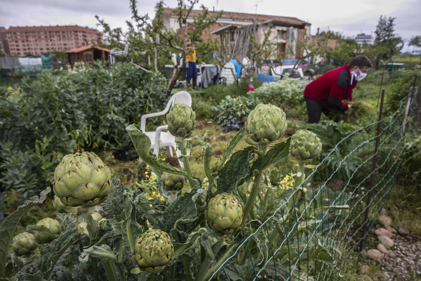 En Logroño, así se vivía este viernes la vuelta al cuidado de la tierra