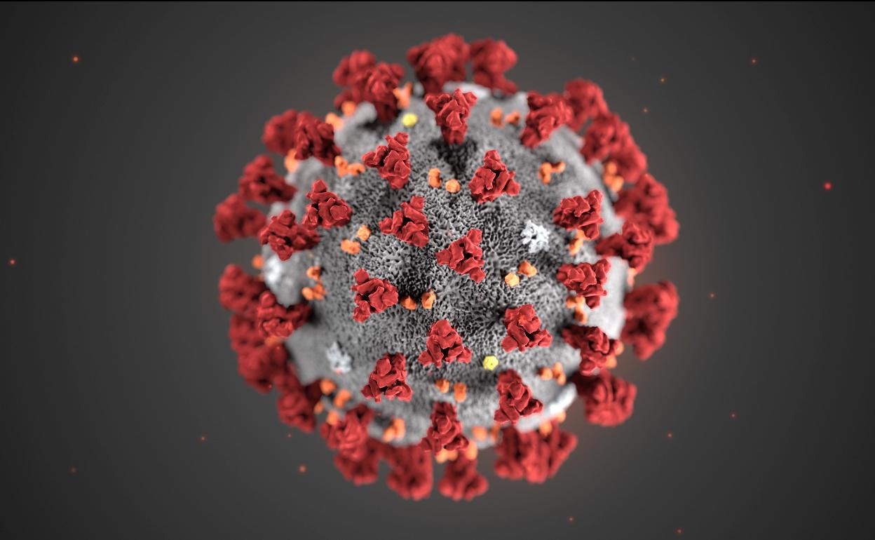Coronavirus en La Rioja: Vitamina D vs. coronavirus