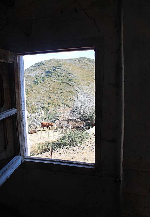 Belleza paisajística desde una ventana abandonada. i