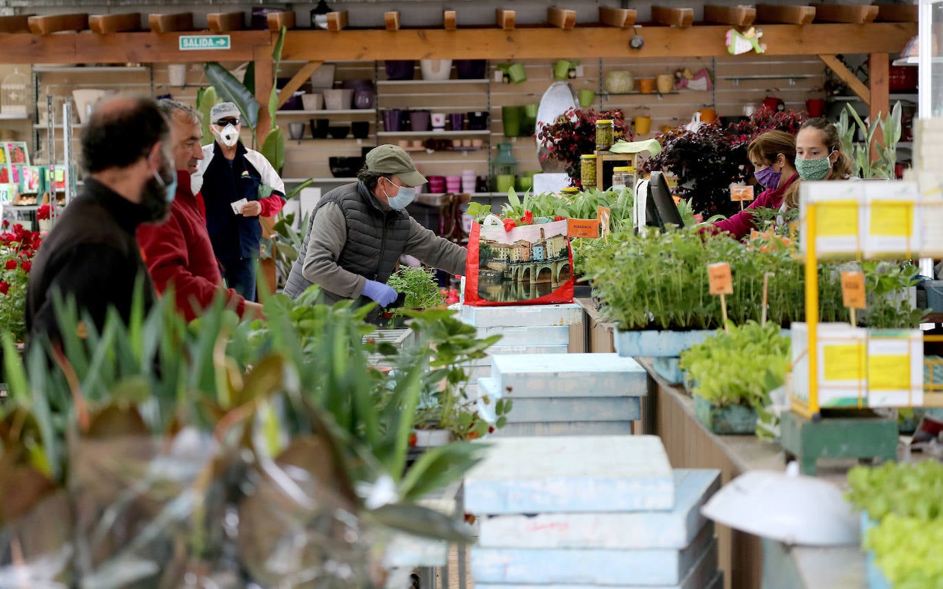 El regreso. Al final, la Administración atendió las demandas de los agricultores no profesionales para poder cultivar sus huertas 