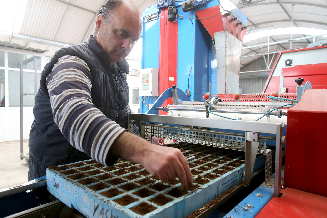 La 'aministía' para el mantenimiento de huertos anima a los viveristas, aunque el mercado de flores pierde una buena parte de la temporada.